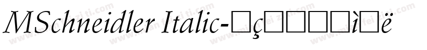MSchneidler Italic字体转换